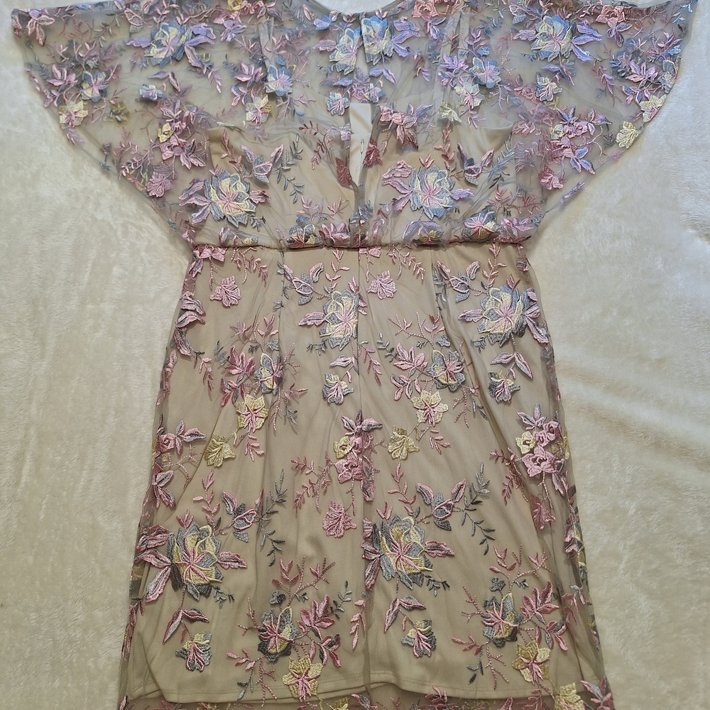 Floral Embroidered Sheer Dress